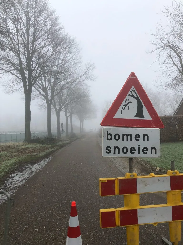 Bomen snoeien — Jansen Groen