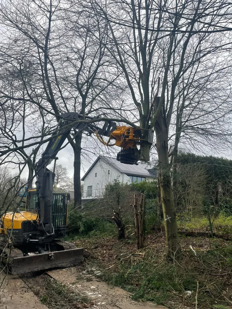 Boomverzorging door Jansen Groen